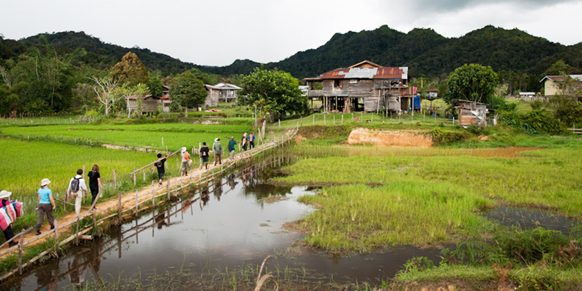 4d3n Bario Highlands Star Travel Malaysia