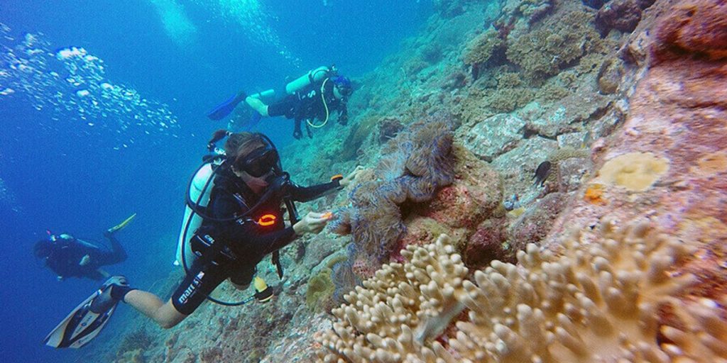 4D3N Pulau Tenggol (Diving)