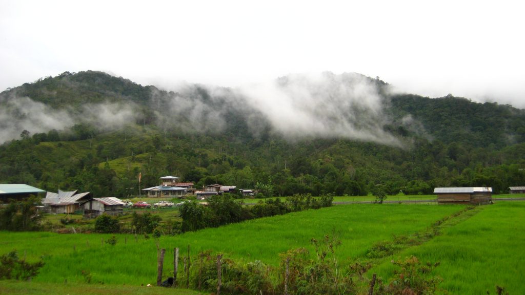 4D3N BARIO VALLEY DISCOVER