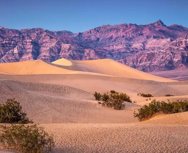 AMERICA'S GREAT DESERT NATIONAL PARKS