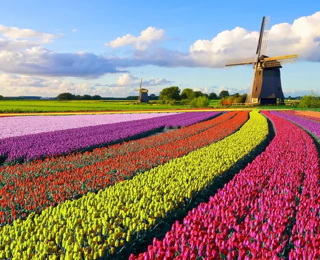 BEST OF HOLLAND