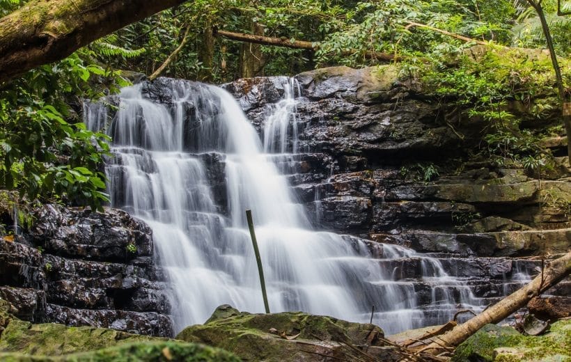 2D1N EXPLORER PACKAGE TAMAN NEGARA