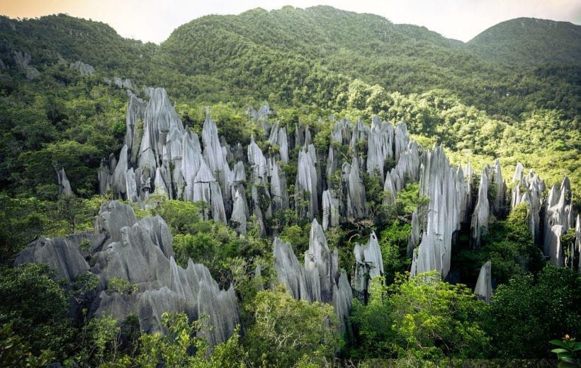 2D1N MULU CAVES (MULU NATIONAL PARK CHALET)