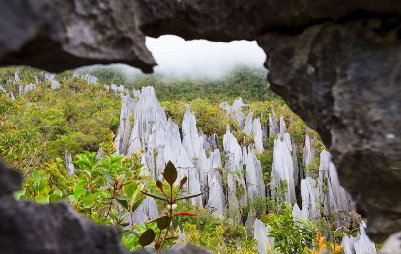 3D2N MULU PINNACLES