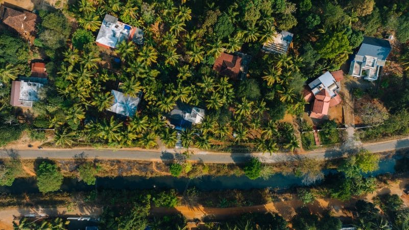 an aerial view of a road surrounded by palm trees