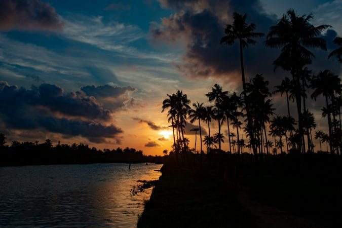 silhouette of palm trees near body of water during sunset