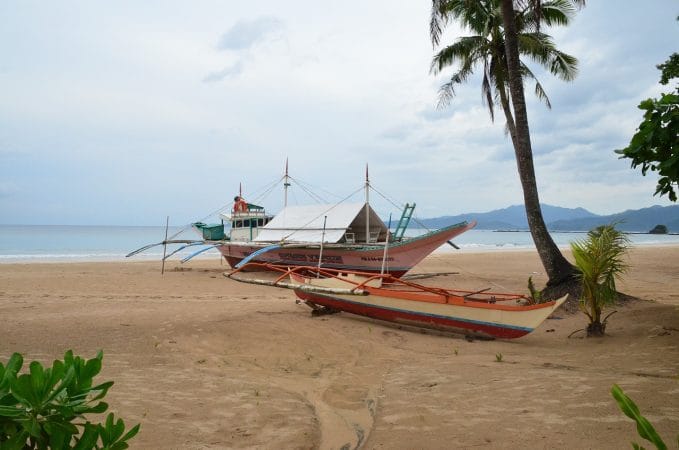 palawan, mangrove jungle, boat