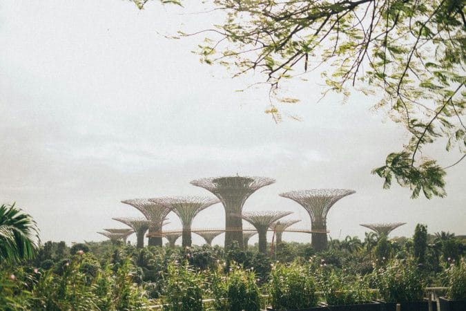 Gardens by the Bay, Singapore