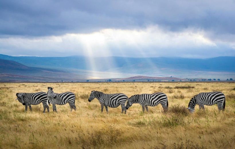 10D9N AUTHENTIC TANZANIA & SERENGETI MIGRATION SAFARI (PRIVATE)