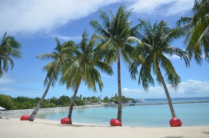 sand, beach, tropical