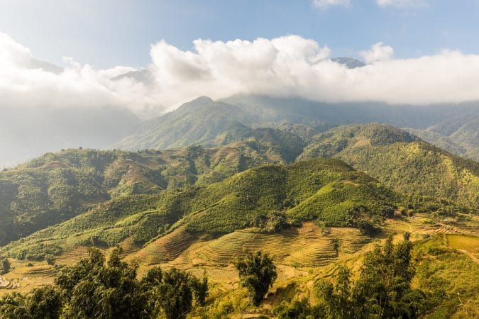 sapa, vietnam, rice fields