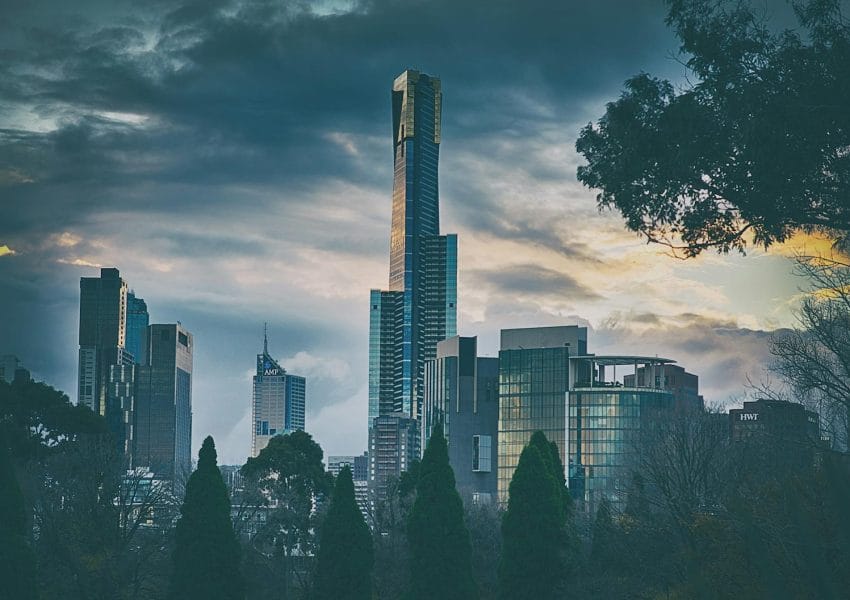 Silhouette of Trees Near Building Under Gray Sky