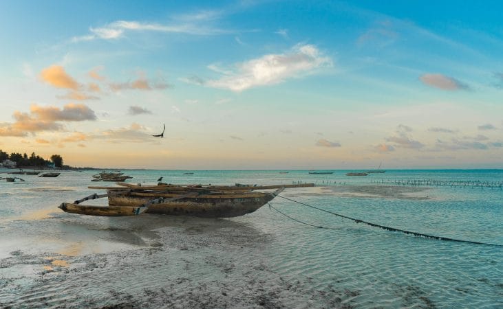 africa, zanzibar, beach