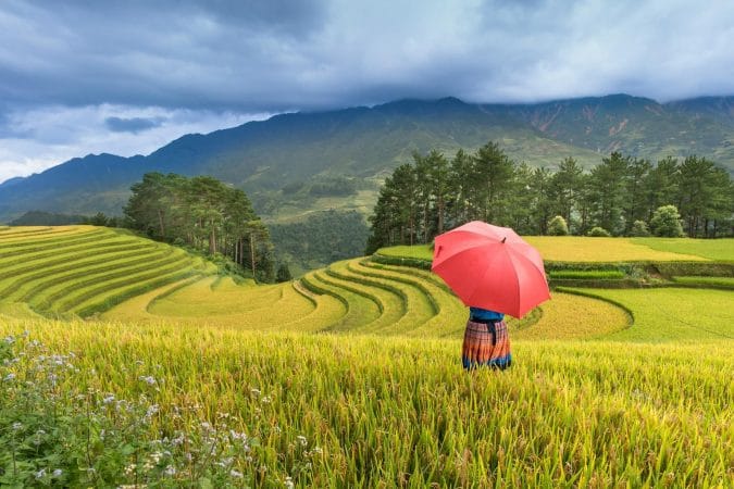 Free stock photo of agriculture, architecture, asia