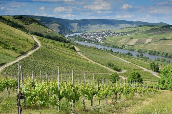 germany, vineyard, river