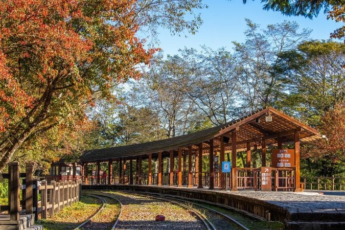 train platform, taiwan, autumn