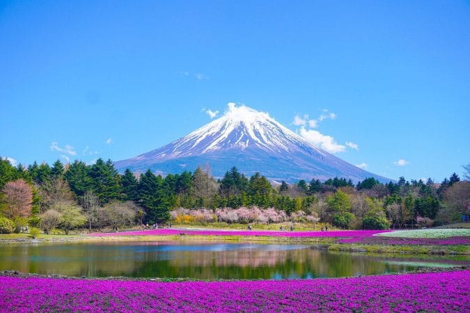 mount fuji, lake, nature