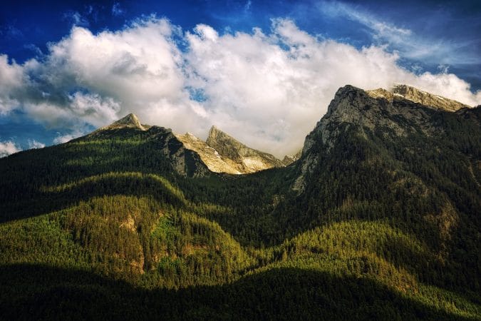 mountain, forest, trees