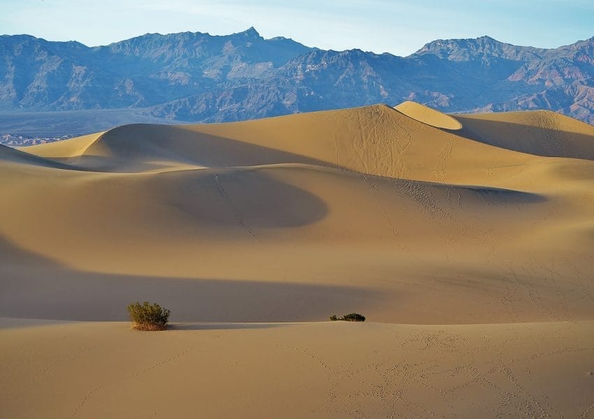 mesquite flats, sand dunes, desert