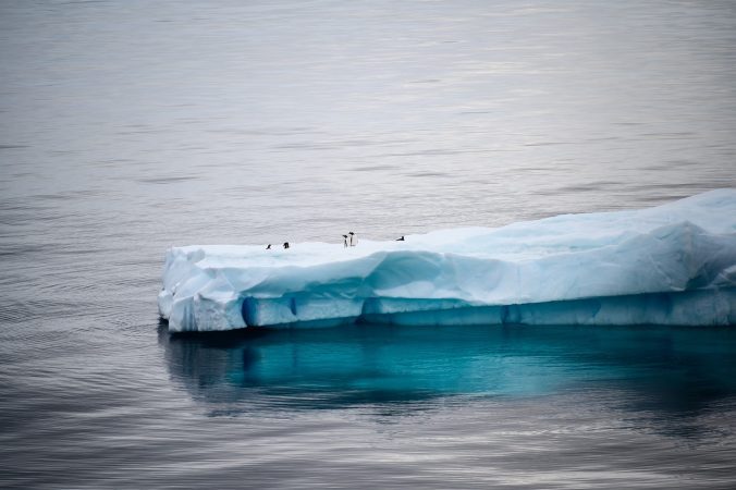 antarctica, iceberg, ice