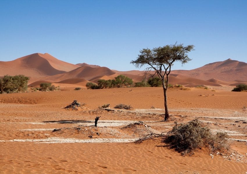 desert, dunes, nature