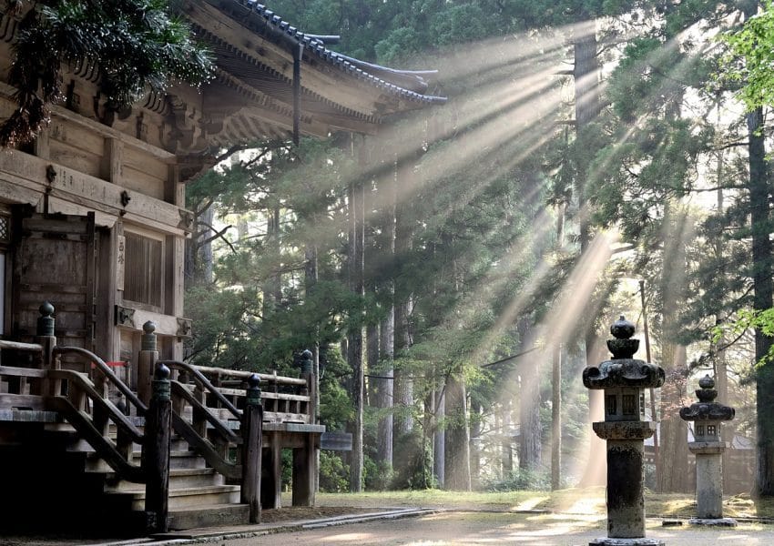 sun rays, forest, koyasan temple