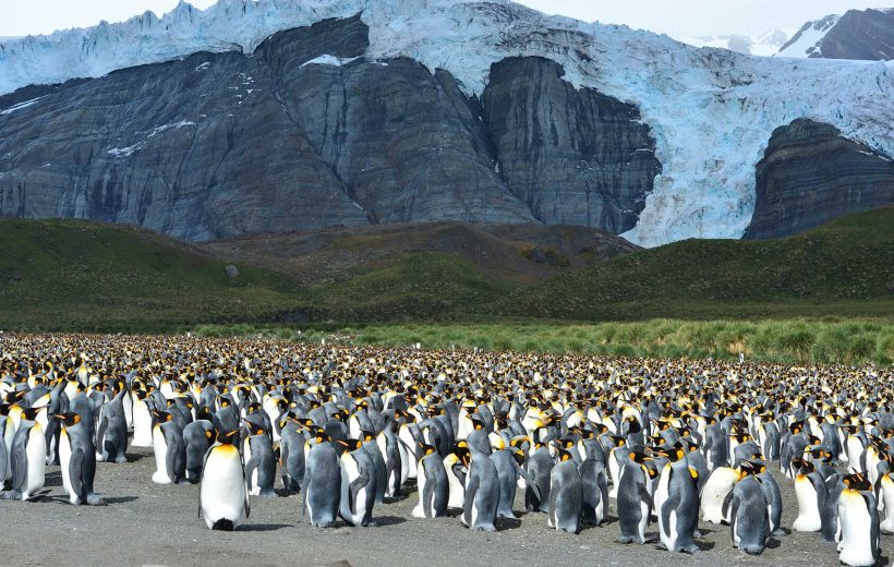 FALKLANDS, SOUTH GEORGIA & ANTARCTICA