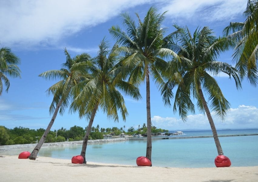 sand, beach, tropical