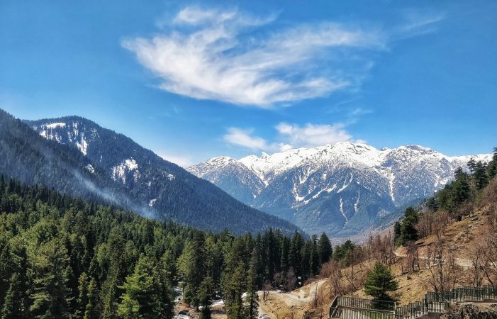 mountains, valley, trees